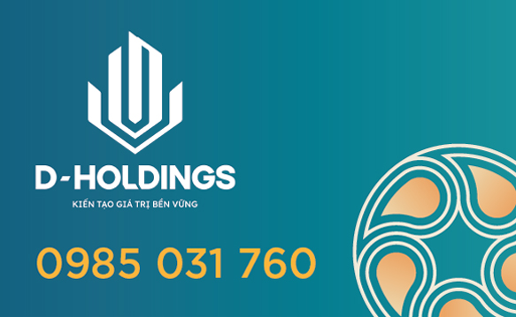d-holdings